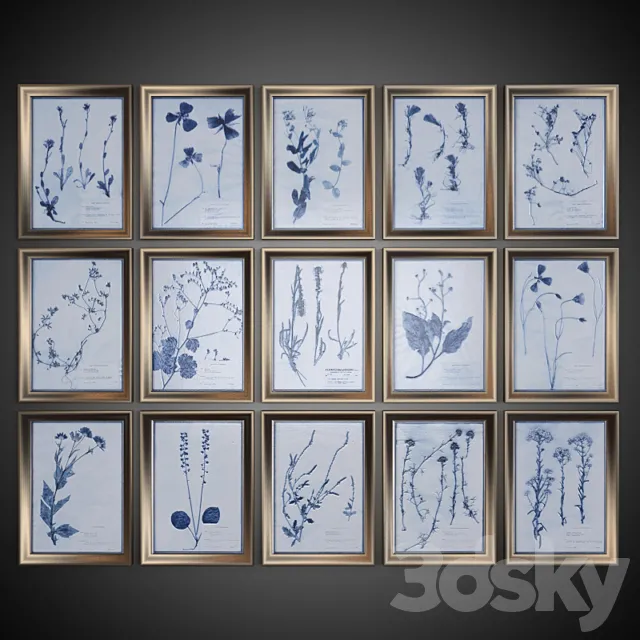 A set of pictures "Dried Flowers" 3D Model