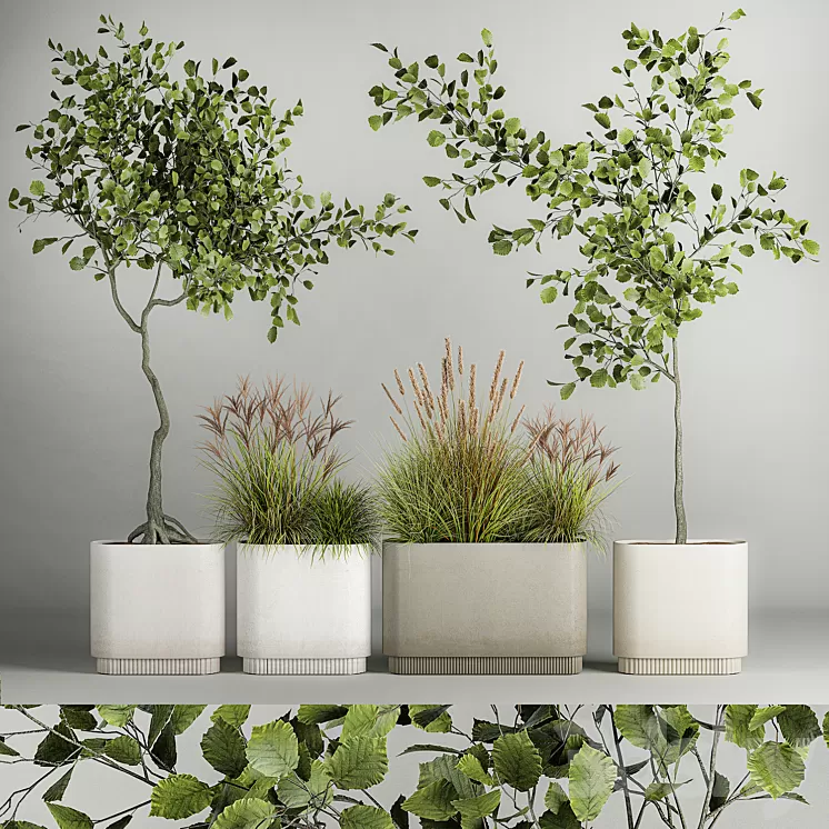 A set of plants with trees for the street and interior a flowerpot with bushes potted grass. 1124. 3D Model