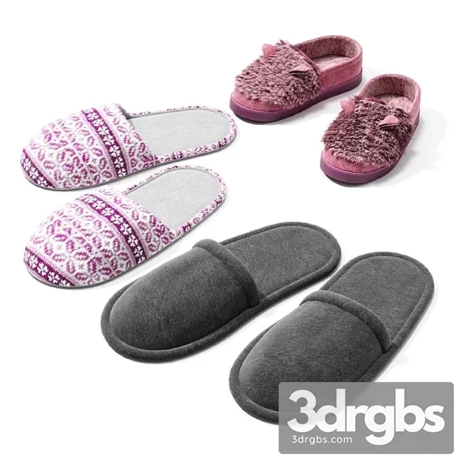 A set of slippers 3D Model Free