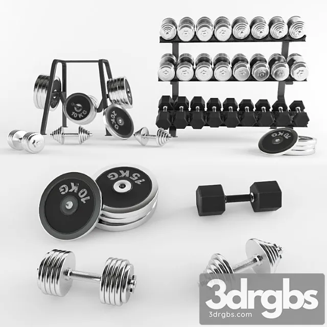 A Set Of Sports Dumbbells and Pancakes on the Racks 3D Model Free