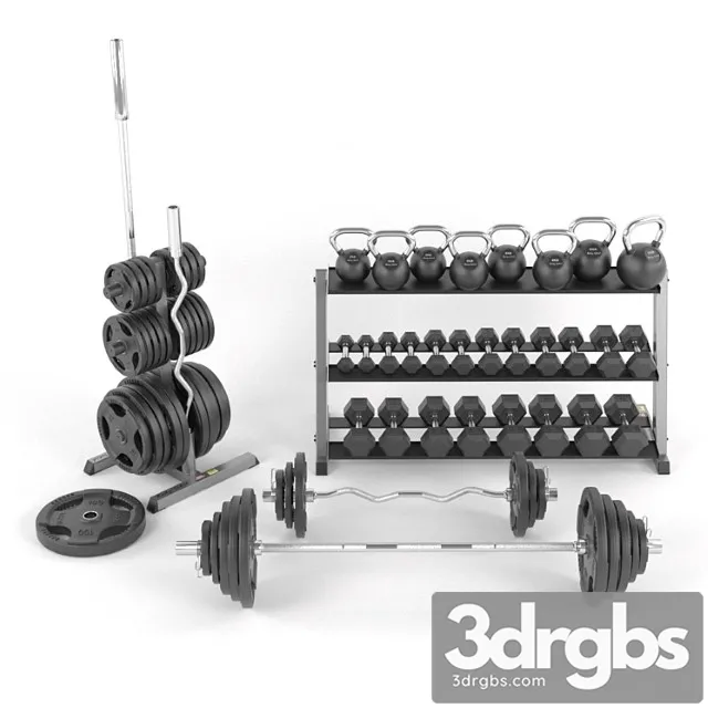 A set of weights for the gym from bodysolid 3D Model Free