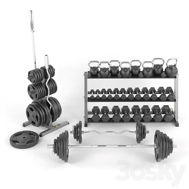 A set of weights for the gym from BodySolid 3D Model