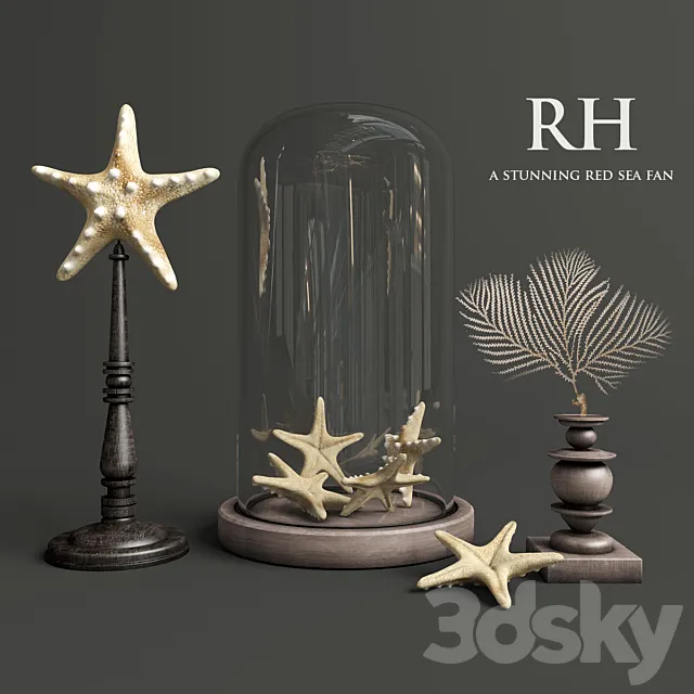 A stunning red sea fan 3DModel