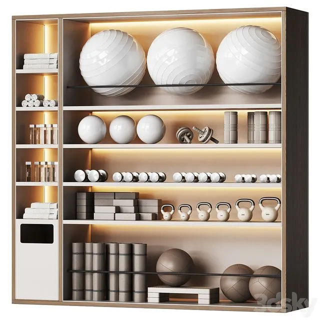 A wall with a rack for gym equipment 2 3D Model