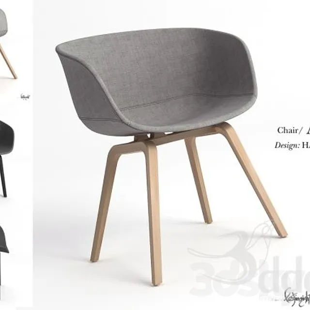 AAC22 _ HAY_HEE WELLING 3D Model