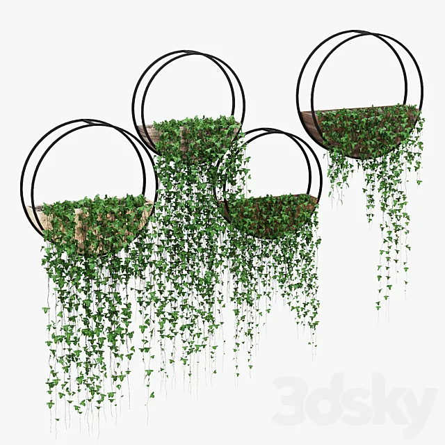 Aarush round 3D Model