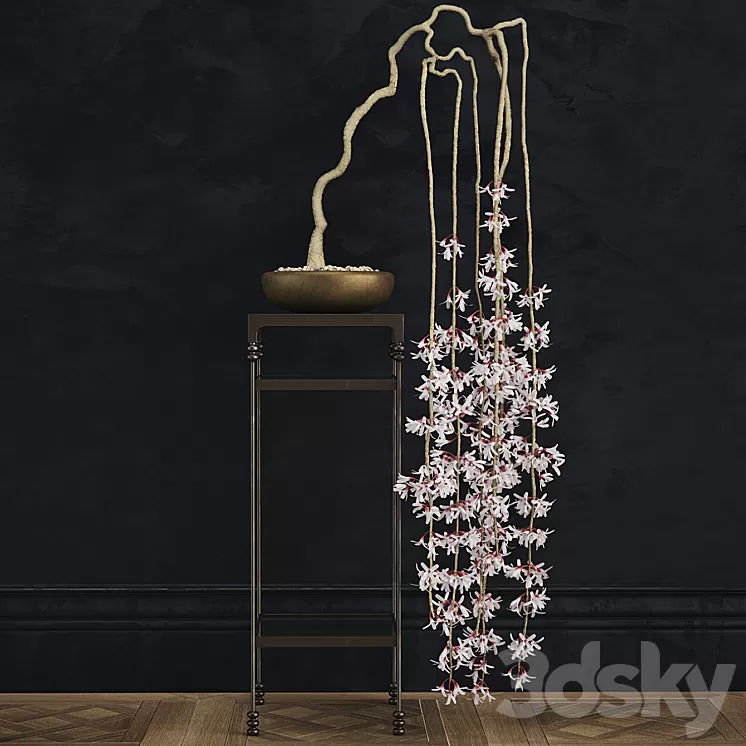 abeliophyllum bonsai 3D Model