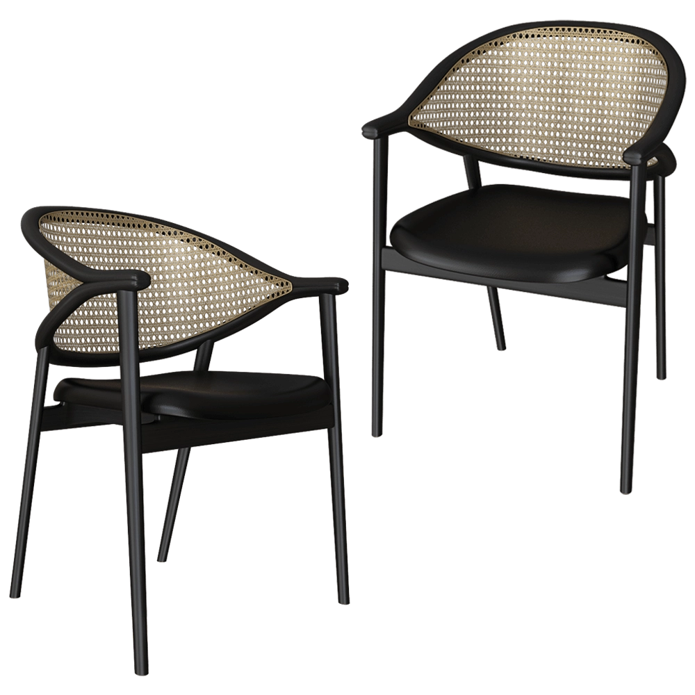 Accento SRL  - Chair Disegno-umami 3D Model