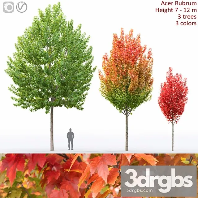 Acer 2 3D Model Free