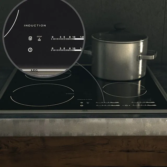 AEG Electrolux 3D Model