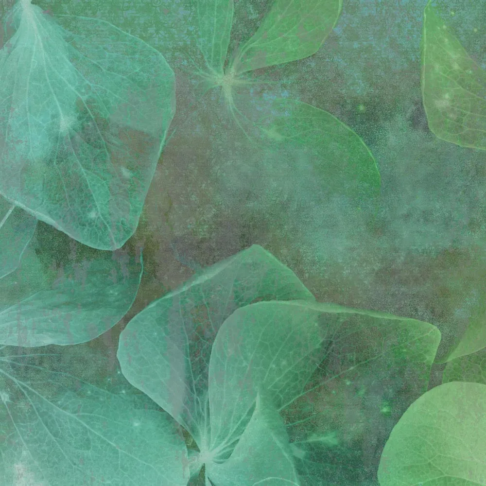 Affreschi & Affreschi - Wallpaper AH-58 3D Model