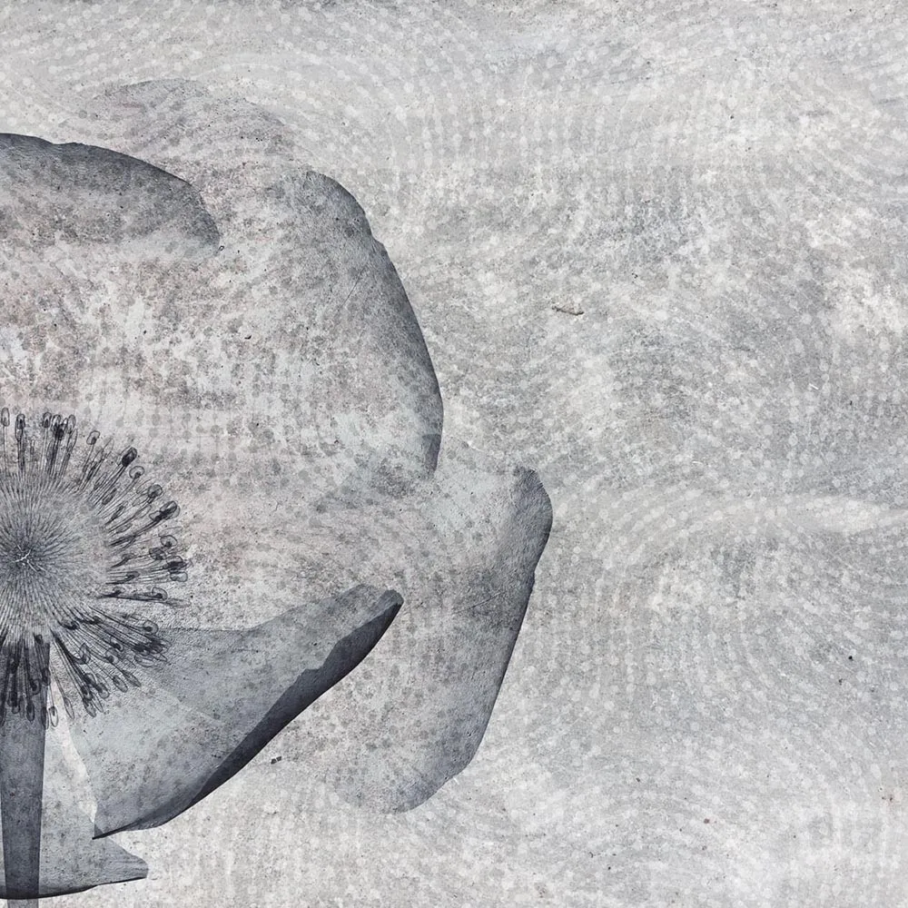 Affreschi & Affreschi  - Wallpaper AH-67 3D Model