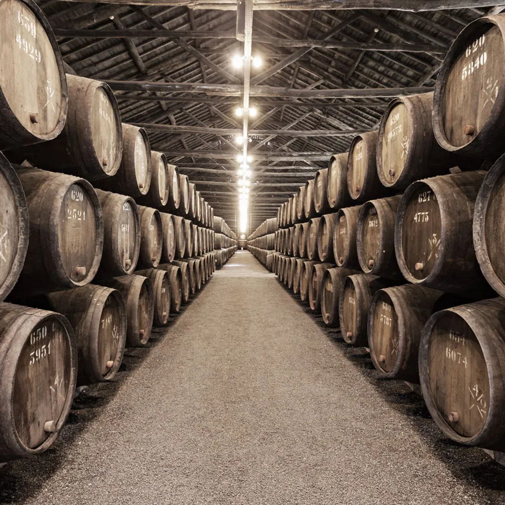 Affreschi & Affreschi  - Wallpaper AY-105 3D Model