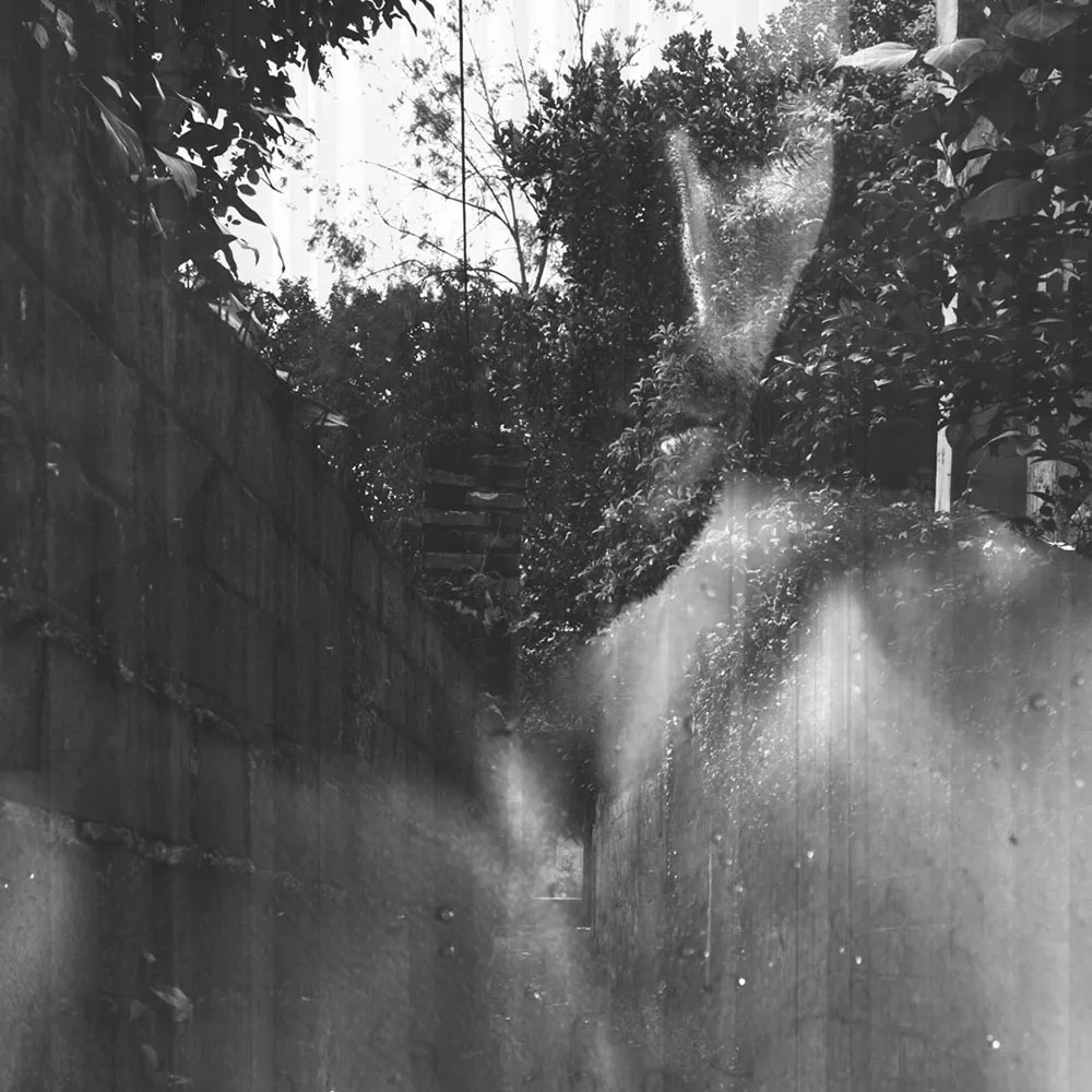 Affreschi & Affreschi  - Wallpaper AY-119 3D Model