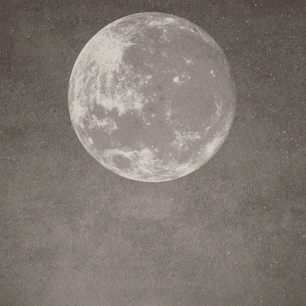 Affreschi & Affreschi  - Wallpaper AY-121 3D Model