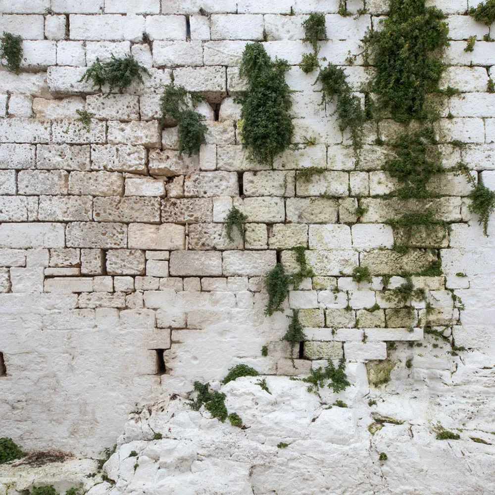 Affreschi & Affreschi  - Wallpaper AY-156 3D Model