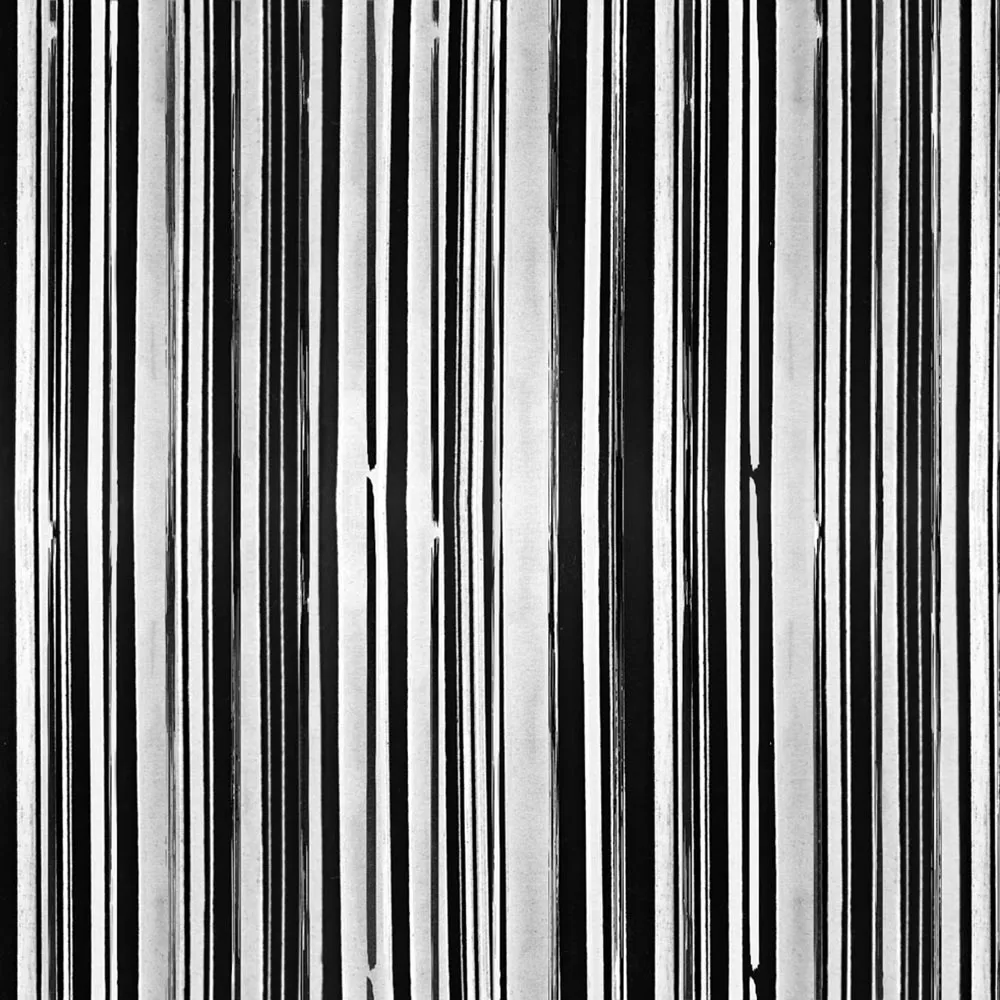 Affreschi & Affreschi  - Wallpaper AY-22 3D Model