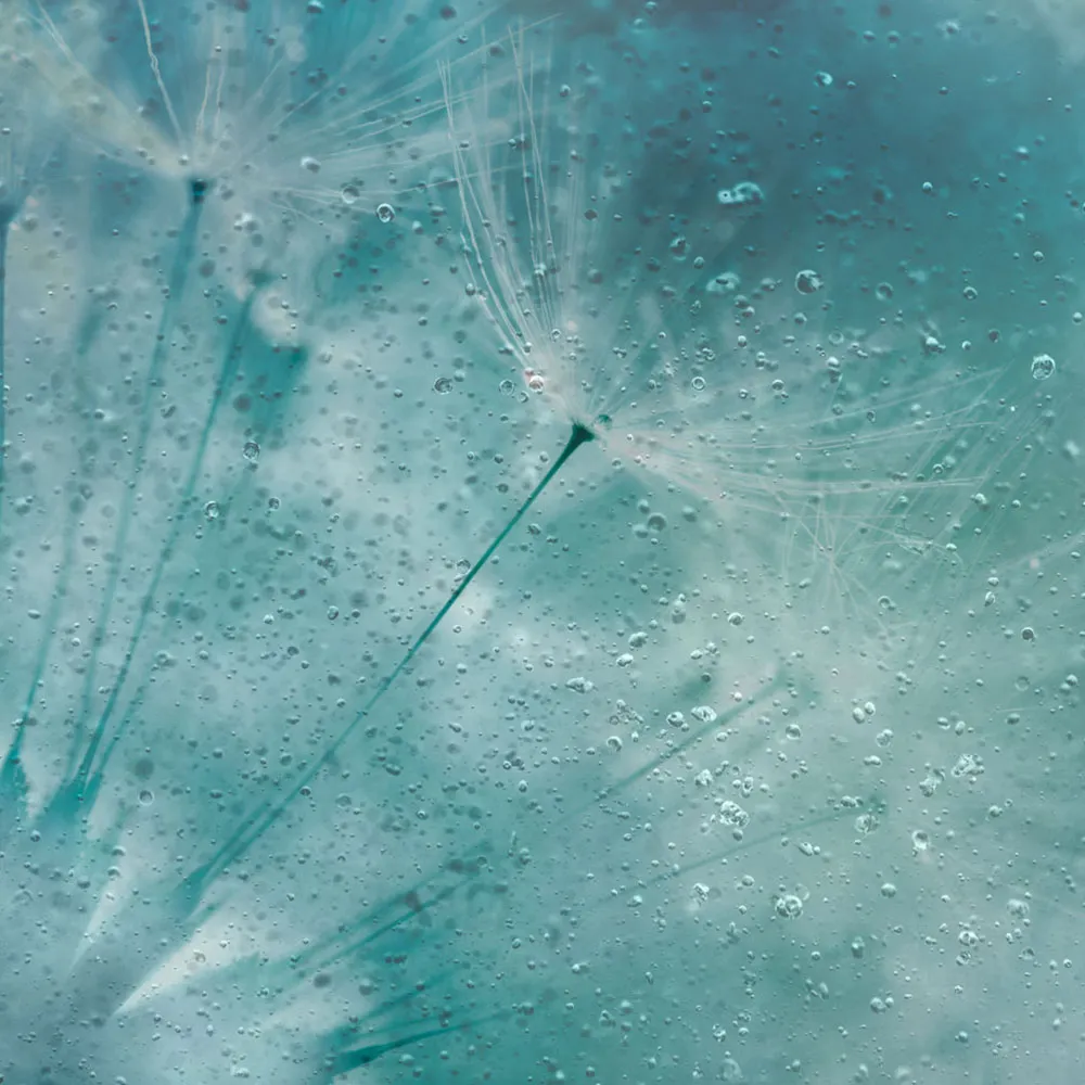 Affreschi & Affreschi  - Wallpaper AY-49 3D Model