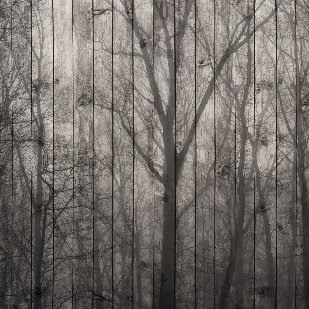 Affreschi & Affreschi  - Wallpaper AY-70 3D Model