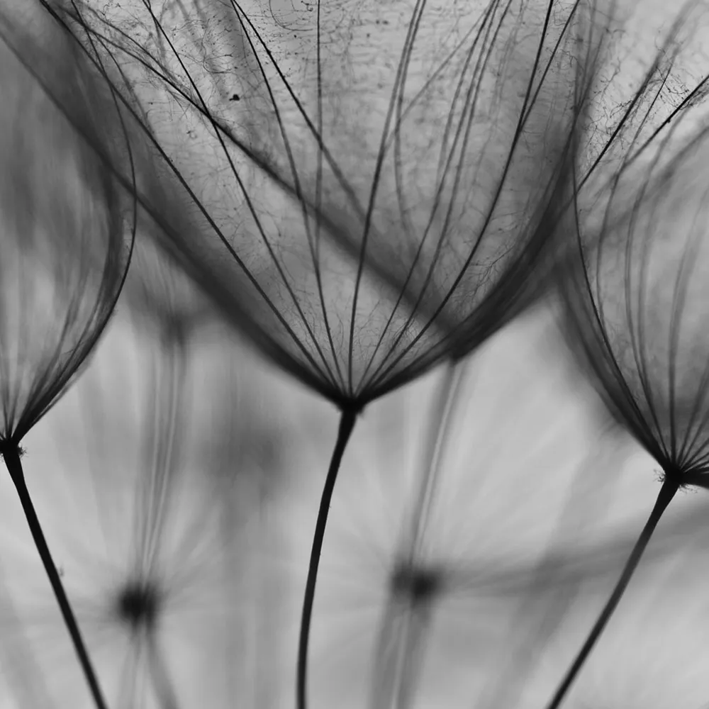 Affreschi & Affreschi  - Wallpaper AY-76 3D Model