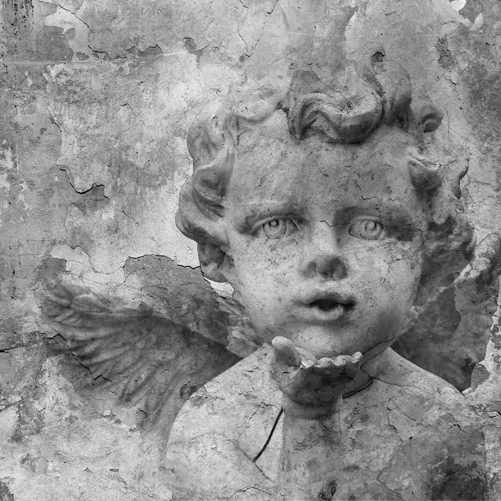 Affreschi & Affreschi  - Wallpaper CD-90D 3D Model