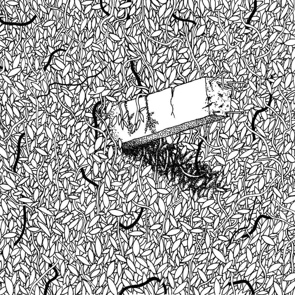 Affreschi & Affreschi  - Wallpaper KW 1905 3D Model