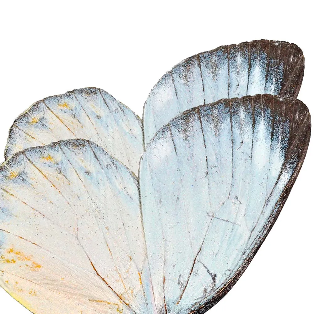 Affreschi & Affreschi  - Wallpaper SL-67D 3D Model