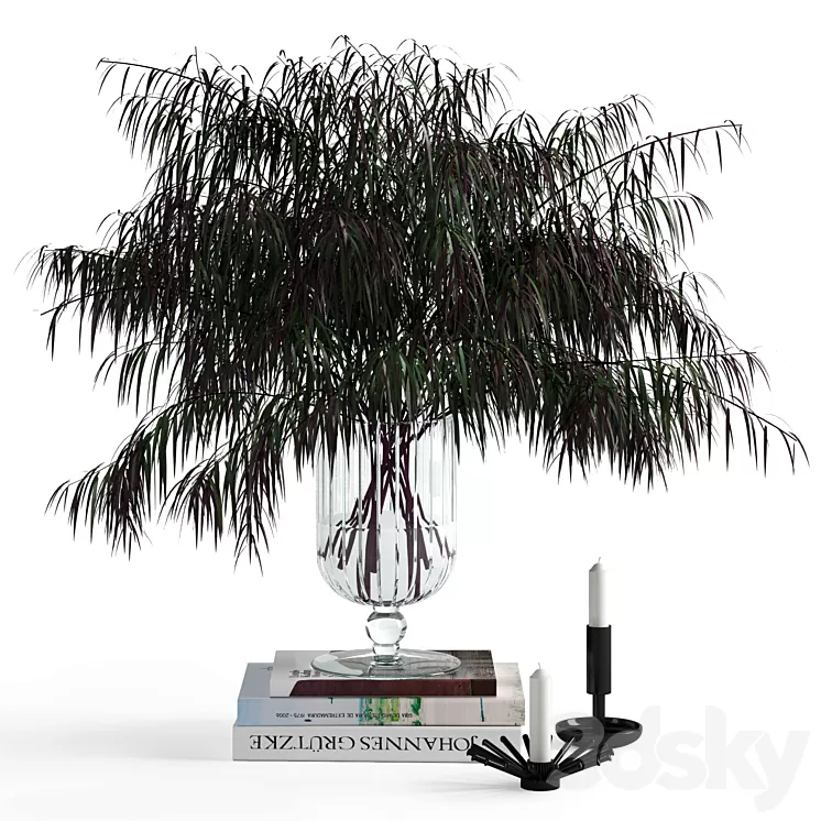 Agonis and candles 3D Model