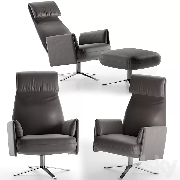 Alberta senator 3D Model