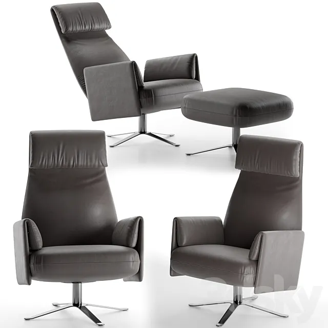 Alberta senator 3DModel