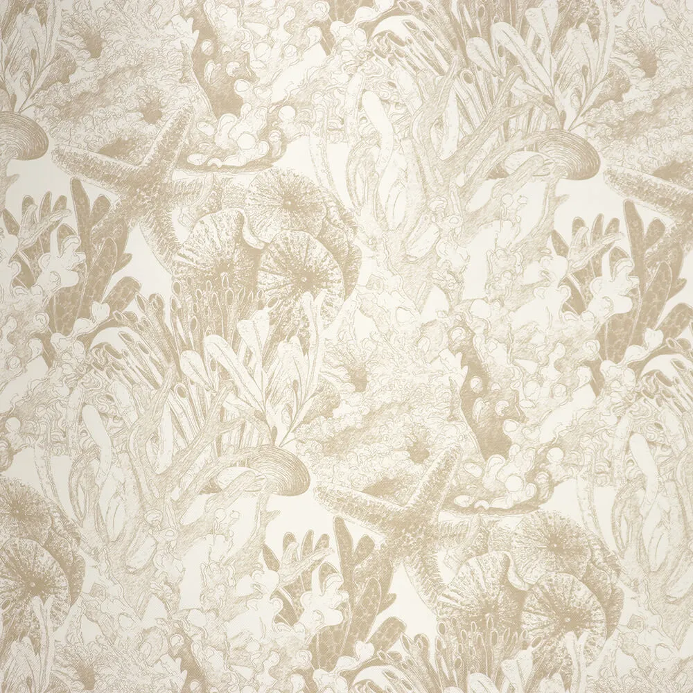 Aldeco - Sealife Outdoor 3D Model