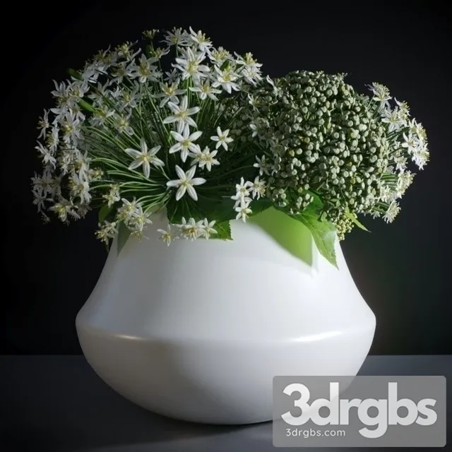 Allium Neapolitanum Bouquet 3D Model Free