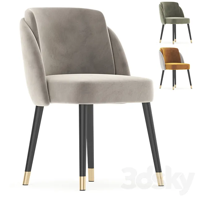 alpha chain 3D Model