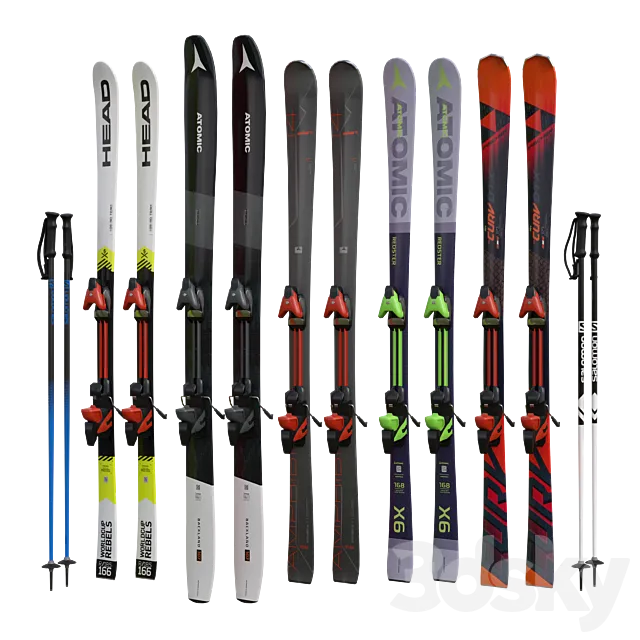 Alpine skiing and sticks 3DModel