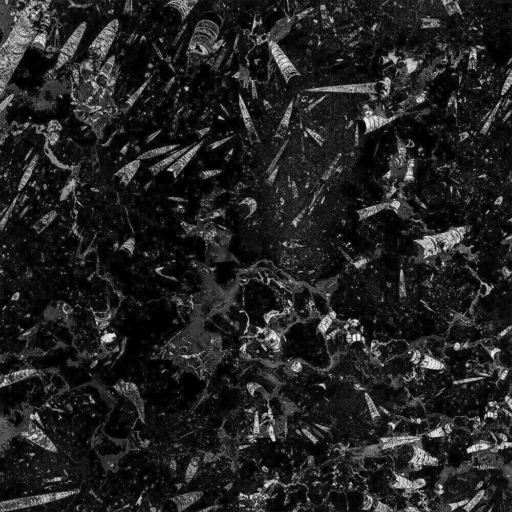 Alumoart - Interior panel Fossil Nero 3D Model