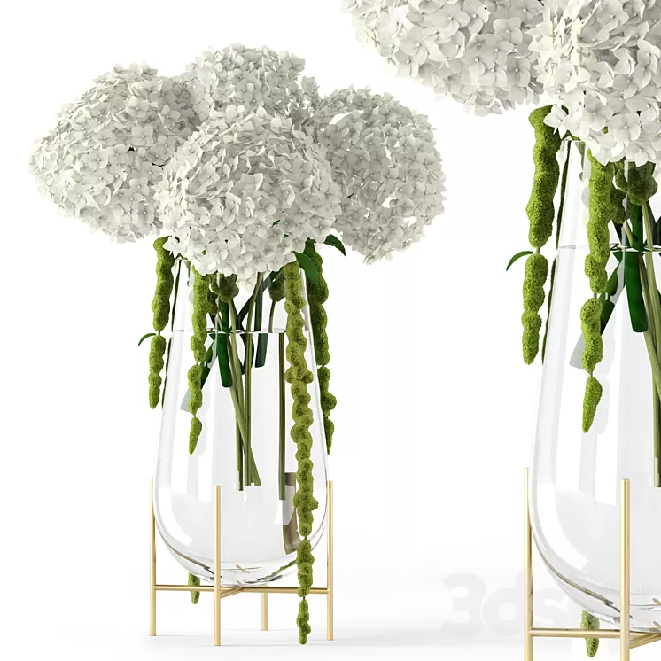Amaranthus and Hyndrangea 3D Model