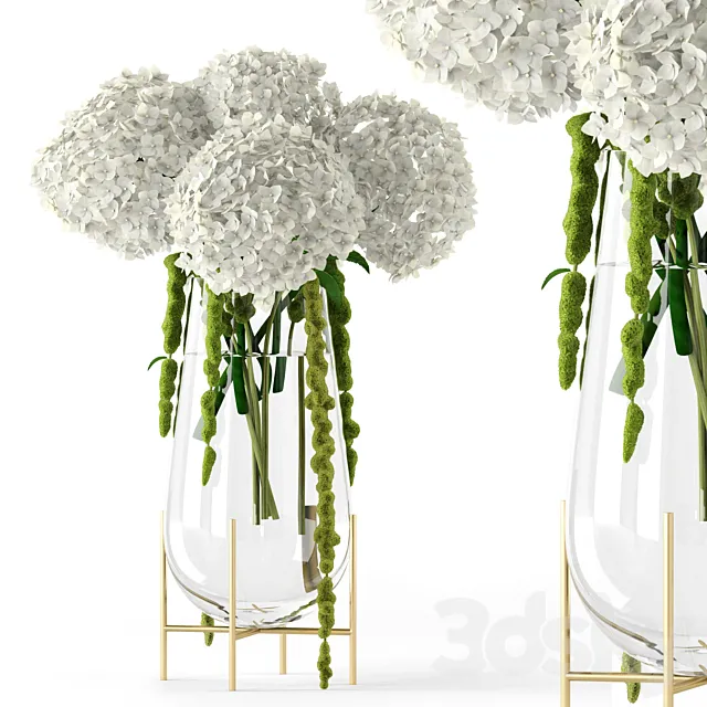 Amaranthus and Hyndrangea 3DModel