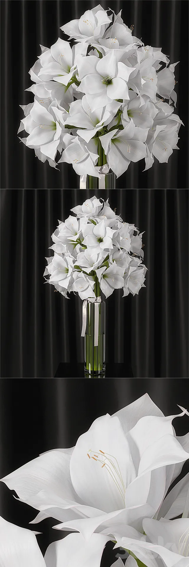 Amaryllis bouquet 3D Model