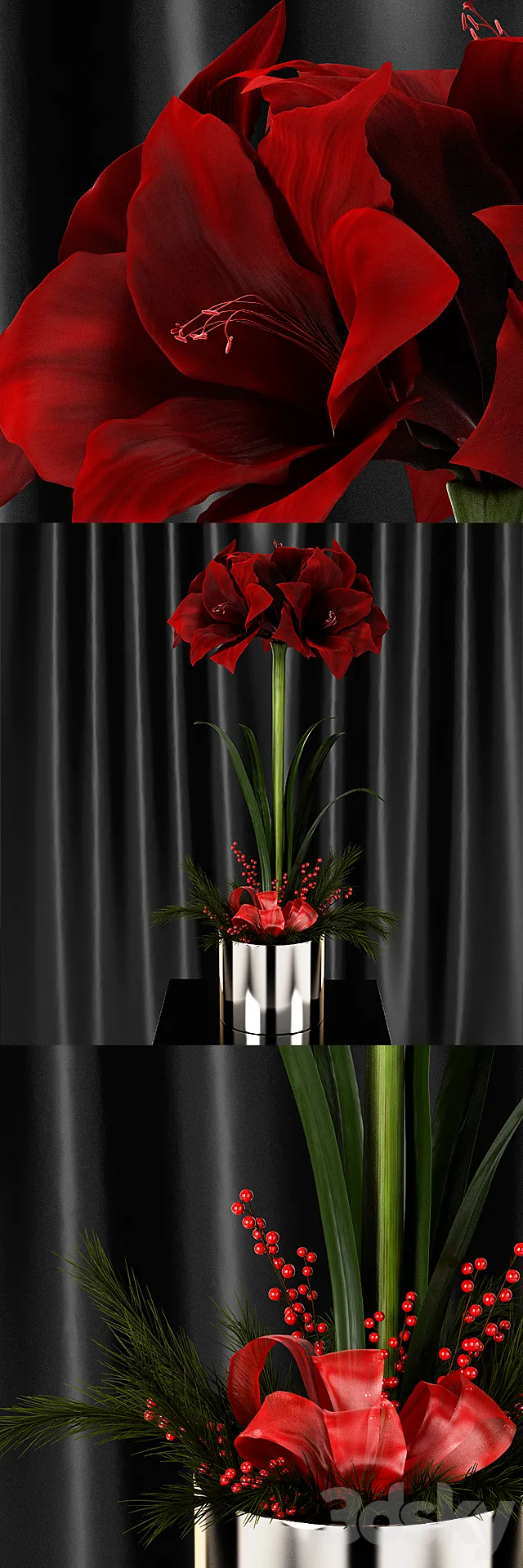 Amaryllis Christmas arrangement 3D Model