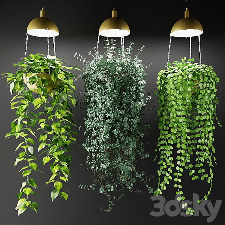 Ampel plants in a cache-pot with lamps 3D Model