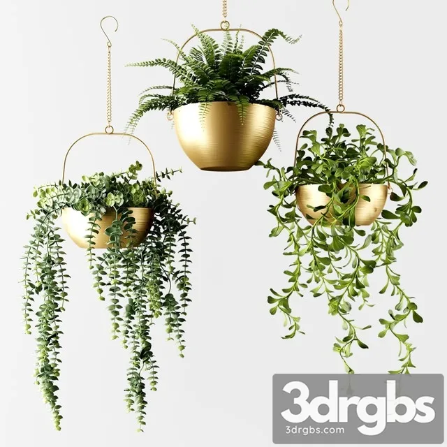 Ampel Plants in Bronze Flower Pots 3D Model Free