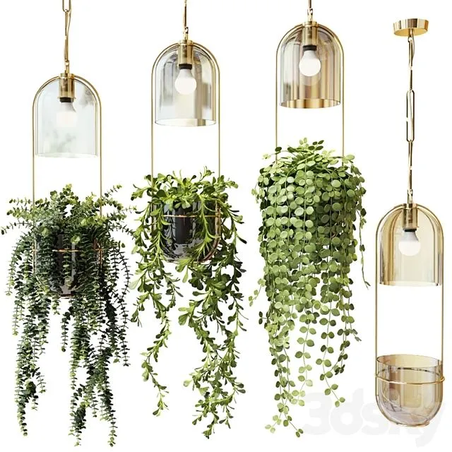 Ampel plants in hanging pots lamps - set 2 3D Model