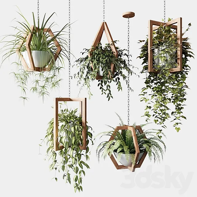Ampelous plants in wooden figured hanging pots 3D Model