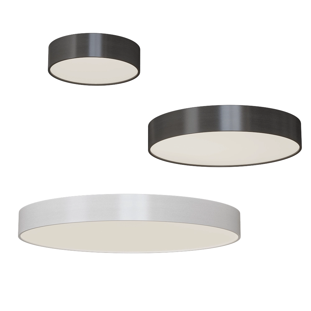ANCARD - Ceiling lamp 24W 4000K 3D Model