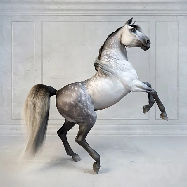 Andalusian Stallion. The Spanish horse. 3DModel
