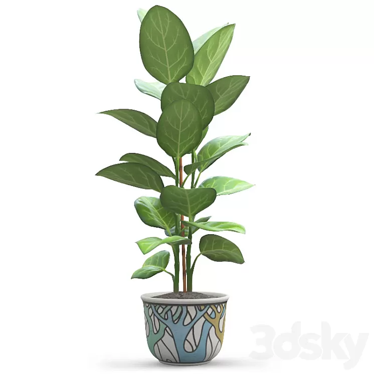 Andre Ficus 3D Model