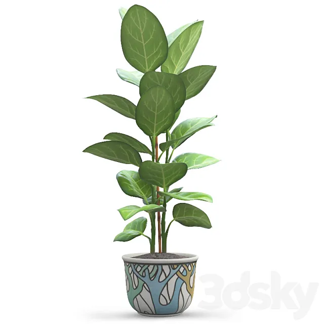 Andre Ficus 3DModel