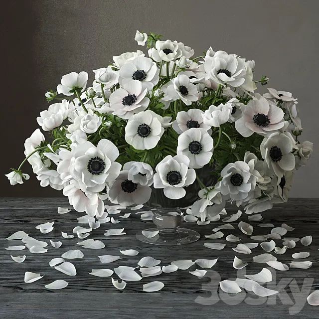 Anemones 3D Model