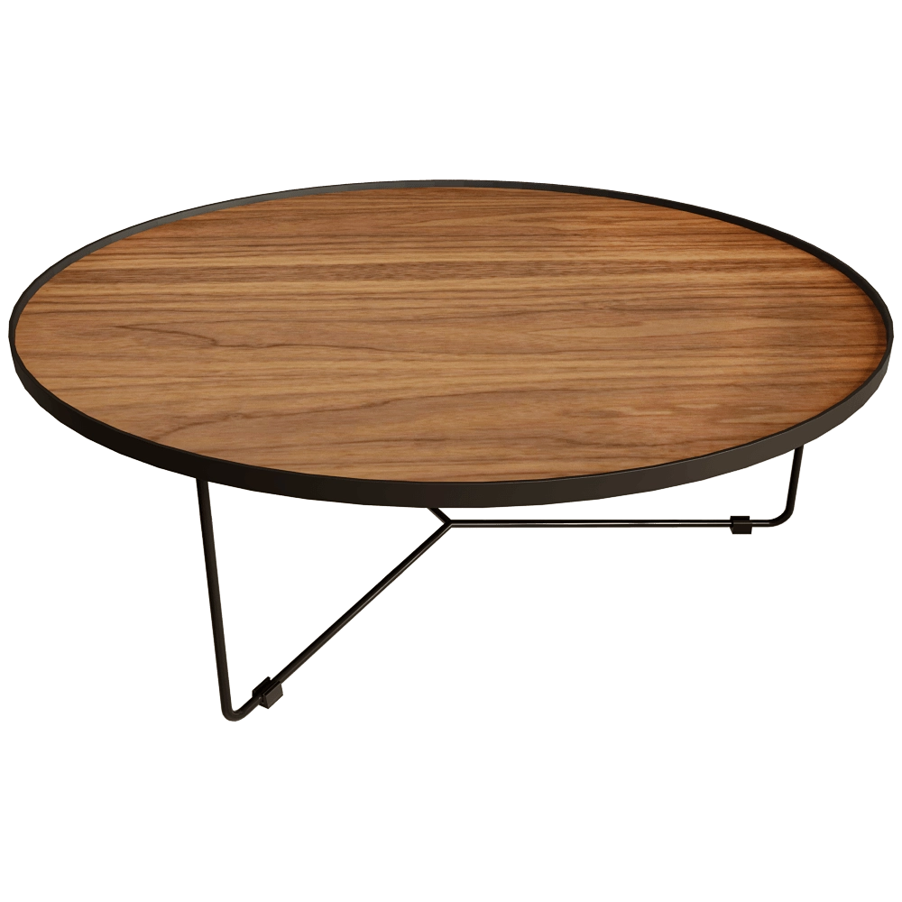 Angel Cerda - Coffee table 2006 3D Model