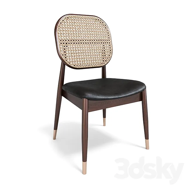 Angel Cerda DC1599 3D Model